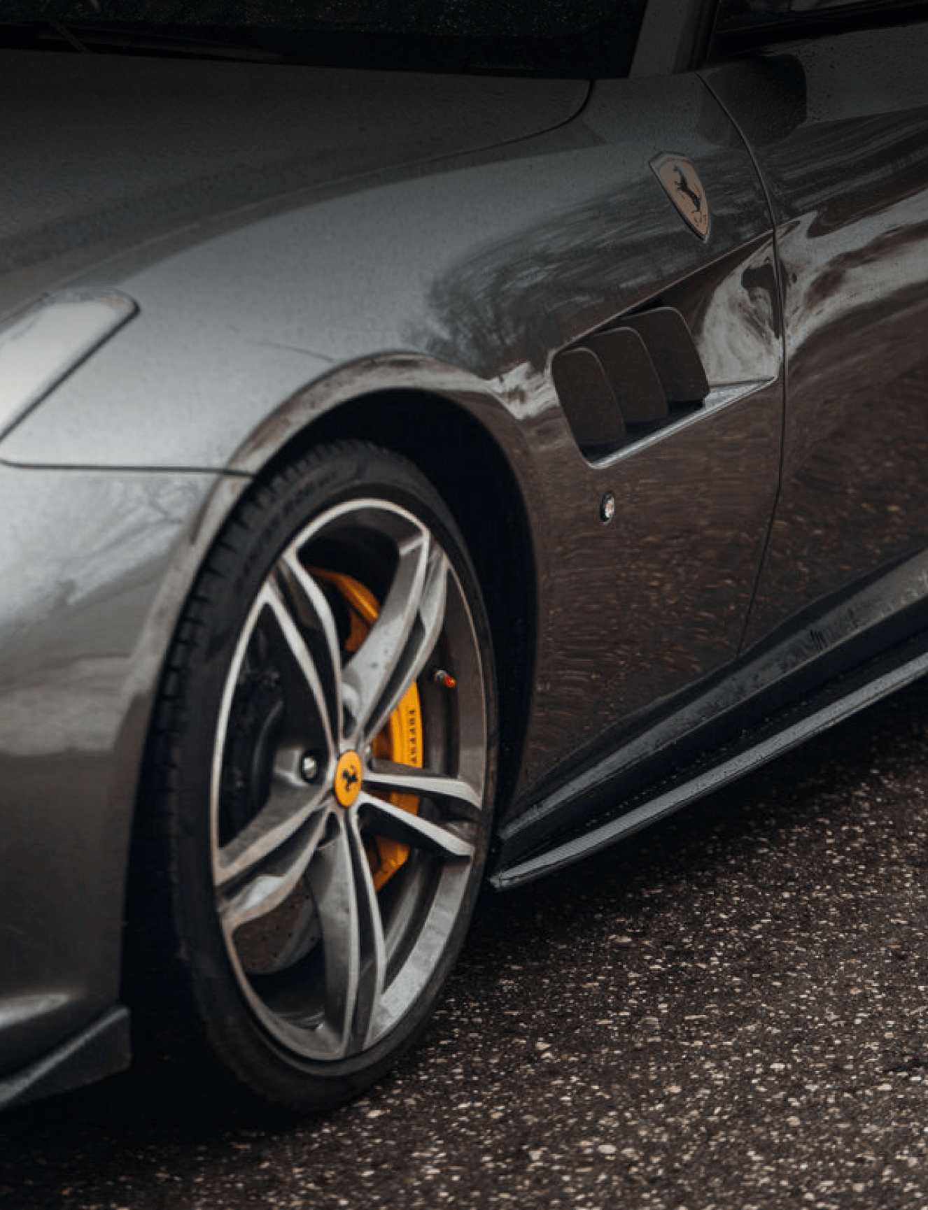  CARBON Performance Aero Накладки на пороги для Ferrari GTC4Lusso