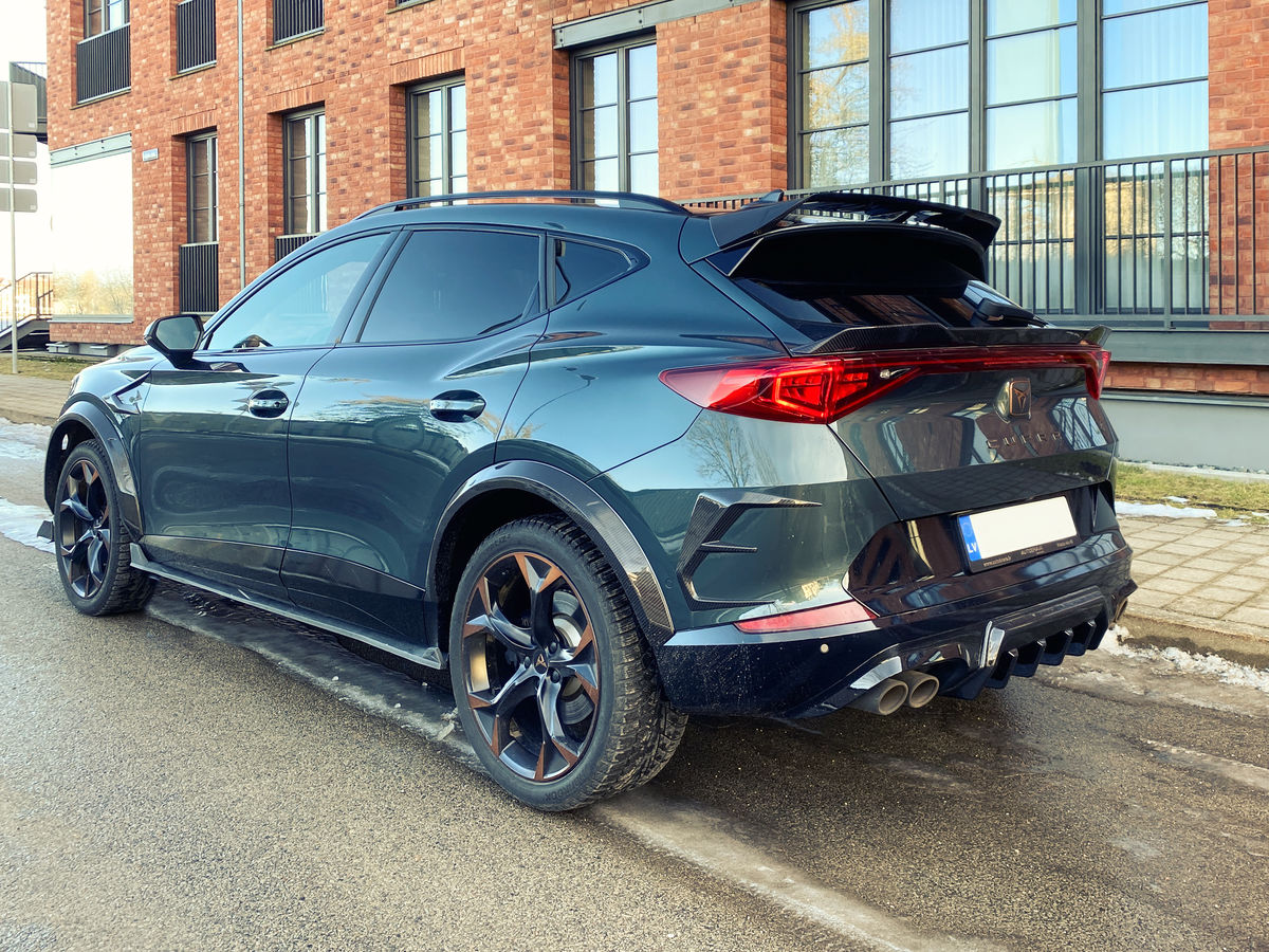 Cupra Formentor Prefacelift Carbon Sideskirt Aero blades for Cupra Formentor